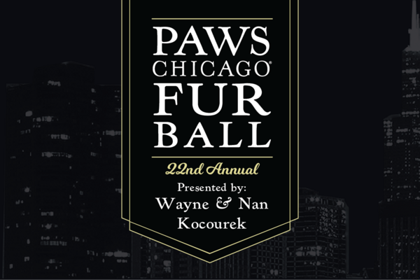 Champions for Homeless Pets, PAWS Chicago News